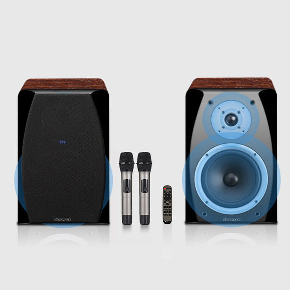 Singpack Studio-Pro Bookshelf Karaoke Speaker